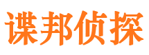 保山市场调查